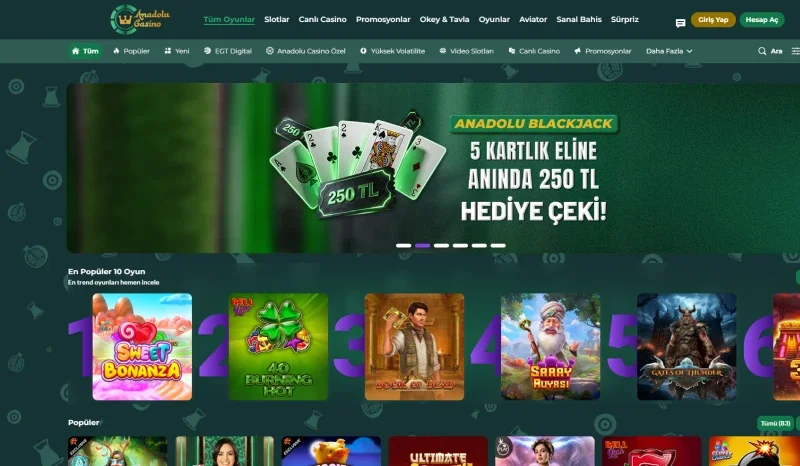 Anadolu Casino ekran görüntüsü
